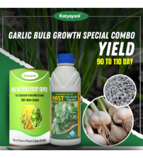Katyayani Garlic Bulb Special Growth Combo